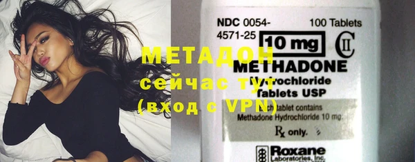 прущие грибы Аркадак