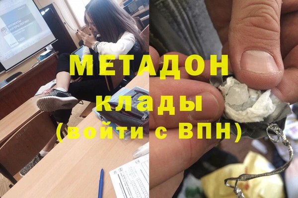 прущие грибы Аркадак