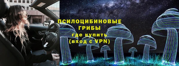 прущие грибы Аркадак