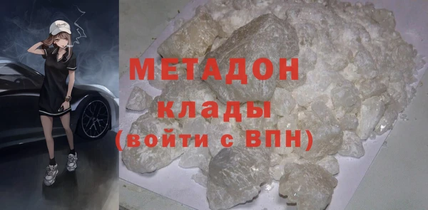 прущие грибы Аркадак