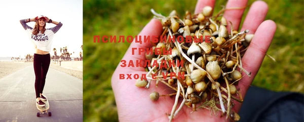 MESCALINE Арсеньев
