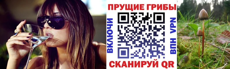 Псилоцибиновые грибы Cubensis  закладка  Ужур 
