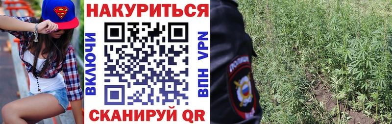 Шишки марихуана марихуана Ужур